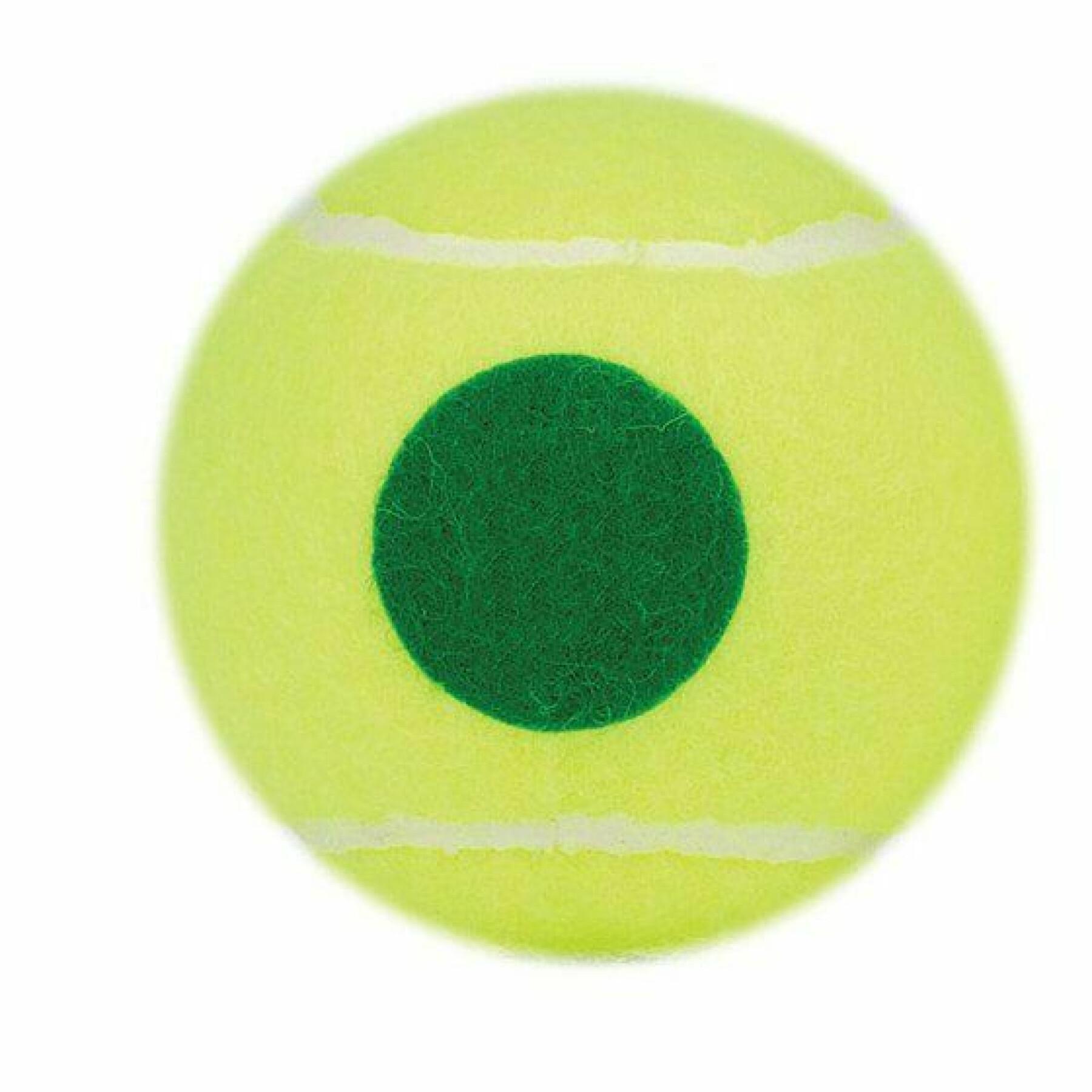 3er Tube Tennisbälle Prince Play & Stay - stage 1