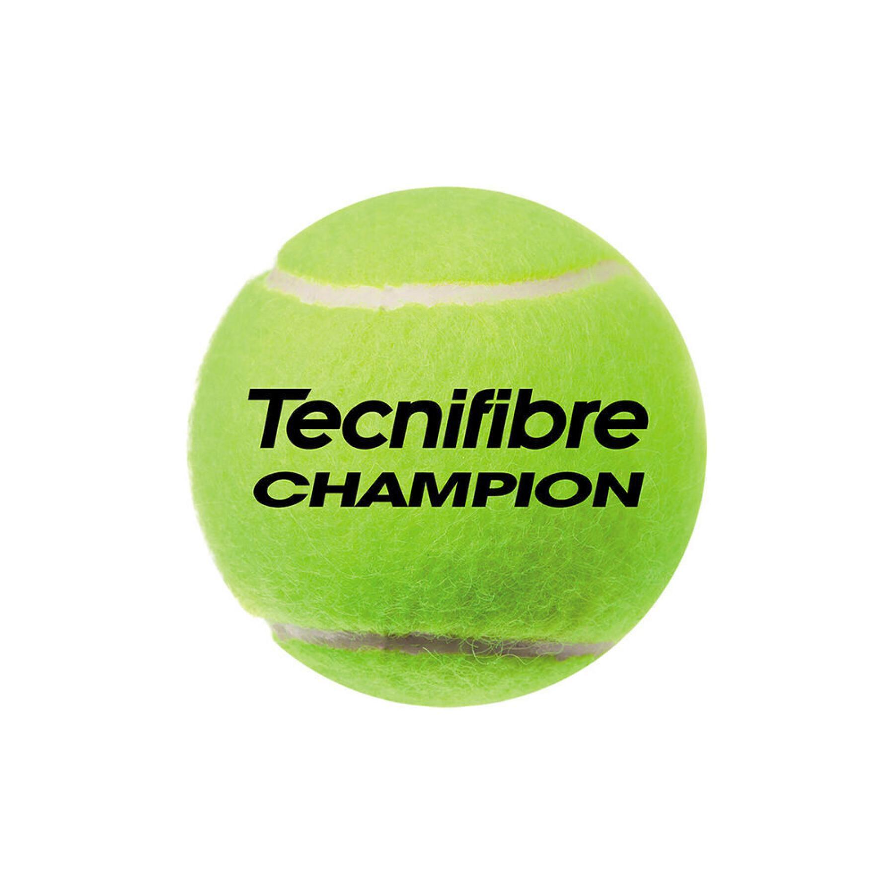 Tennisball Tecnifibre 60CHAM364N