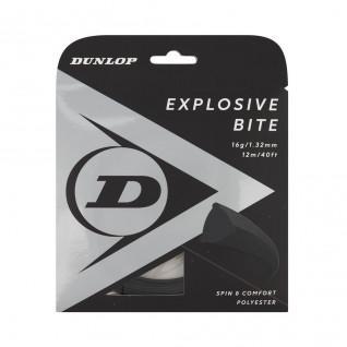 Seil Dunlop explosive bite