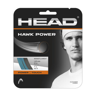 Tennissaiten Head Hawk Power 12 m