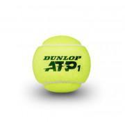 Tennisbälle Dunlop ATP 4tin