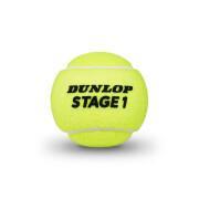 Satz mit 3 Tennisbällen Dunlop stage 1