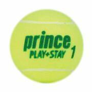 3er Tube Tennisbälle Prince Play & Stay - stage 1