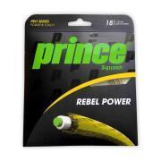 Squash-Saite Prince Rebel Power