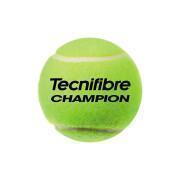 Tennisball Tecnifibre 60CHAM364N