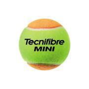Lot von 3 Bällen Tennisball Kind Tecnifibre Mini